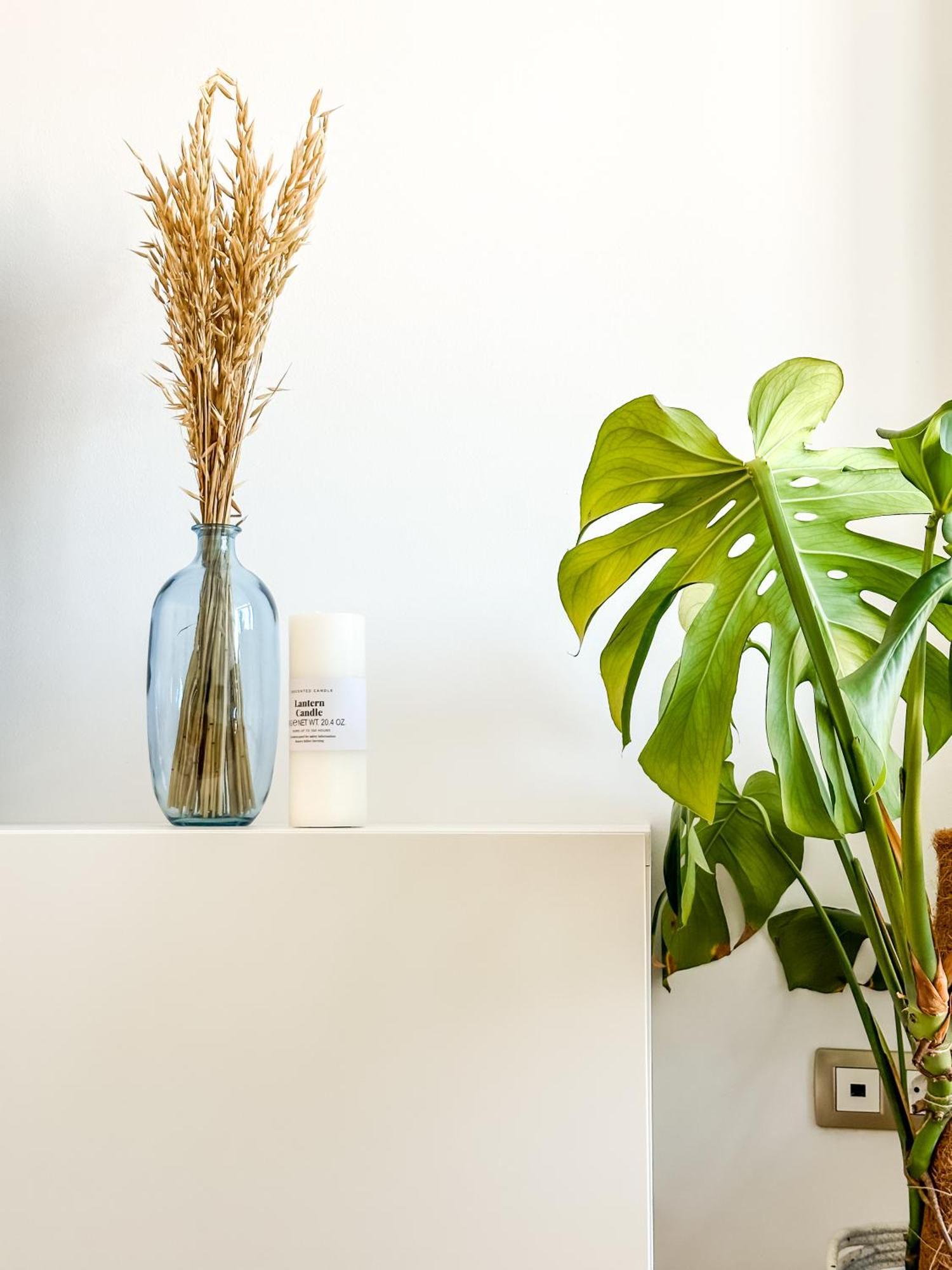 Apartamento Luar By Aloga Cee Eksteriør bilde